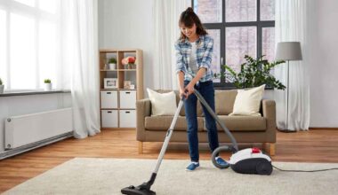 hire lady cleaners in dubai